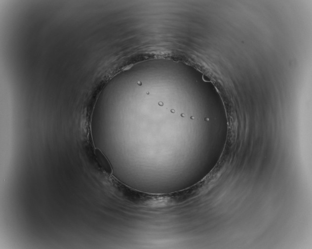 X0000093220609200710171401