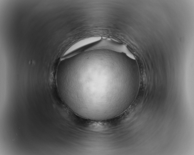 X0000093220611200710171401