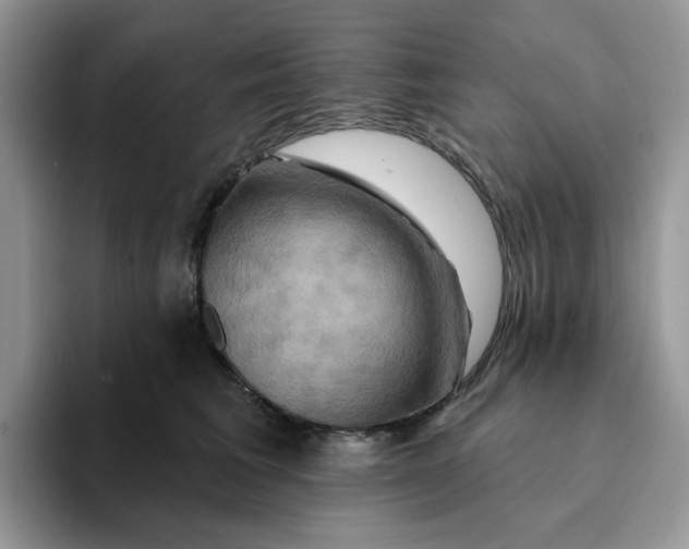 X0000093220613200710171401