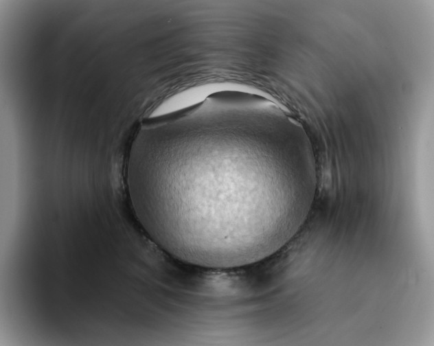 X0000093220616200710171401