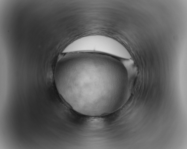 X0000093220617200710171401