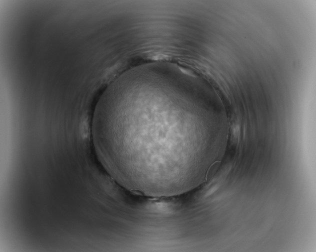 X0000093220620200710171401