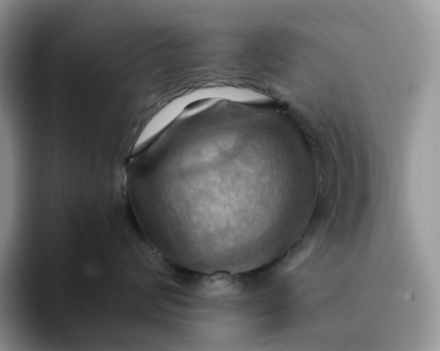 X0000093220624200710171401