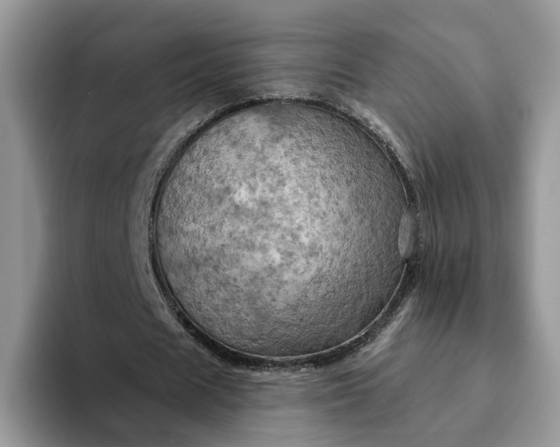 X0000093220625200710171400