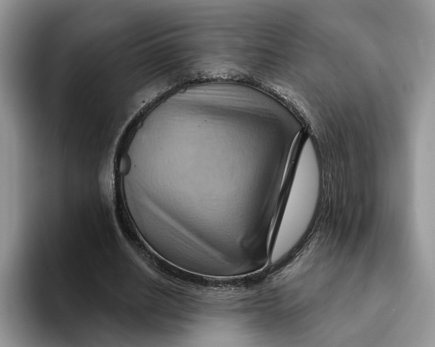 X0000093220630200710171400