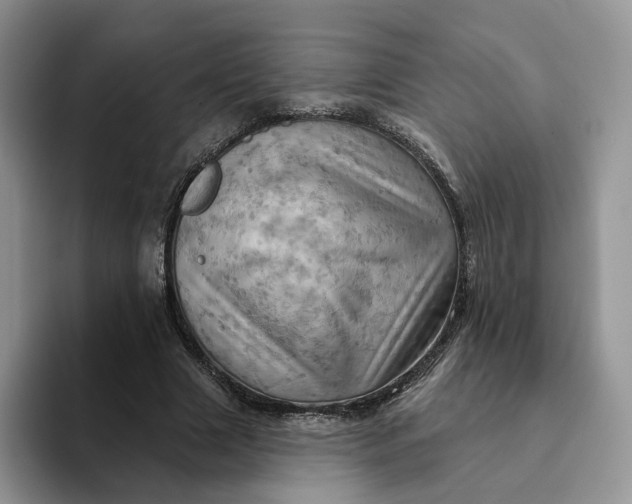 X0000093220633200710171400