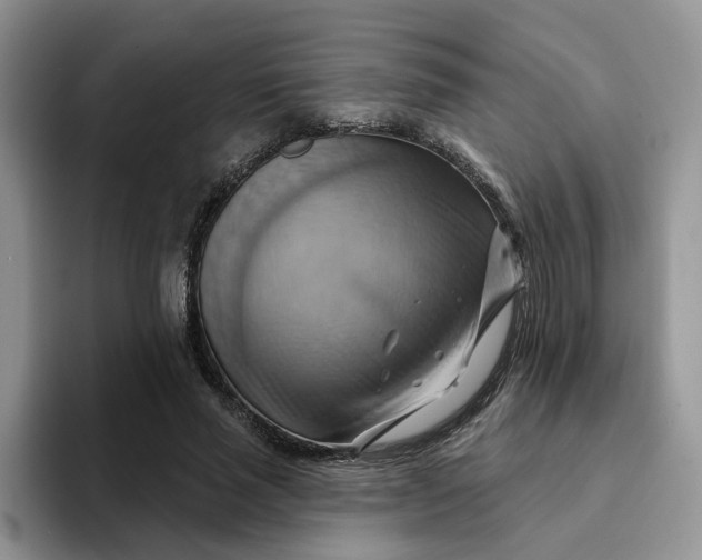 X0000093220637200710171400