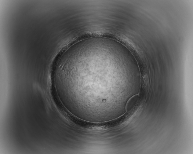 X0000093220638200710171400