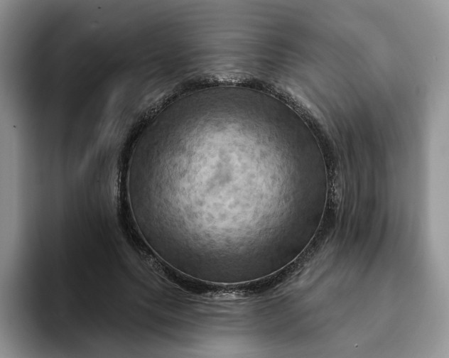 X0000093220639200710171400