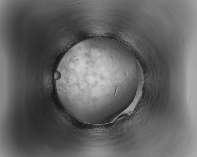 X0000093220642200710171400