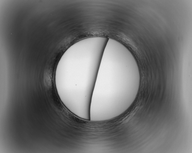 X0000093220644200710171400