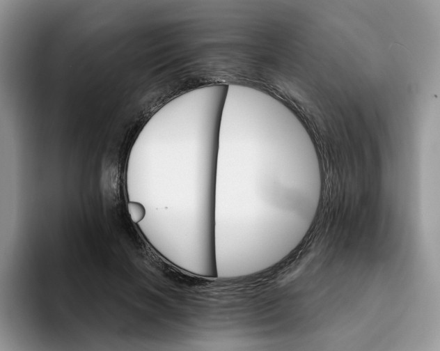 X0000093220646200710171400