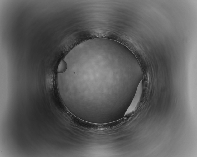 X0000093220647200710171400