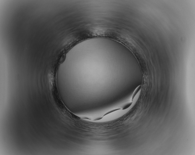 X0000093220648200710171400