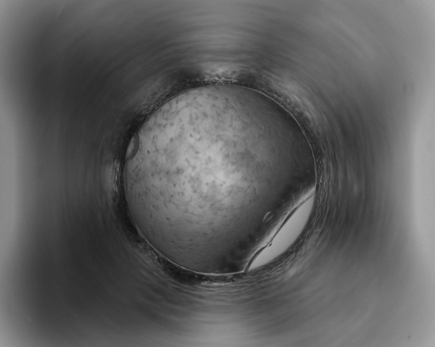 X0000093220649200710171400