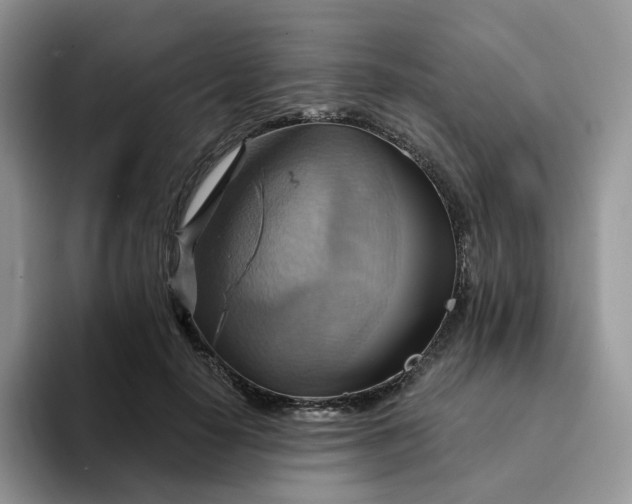 X0000093220650200710171400