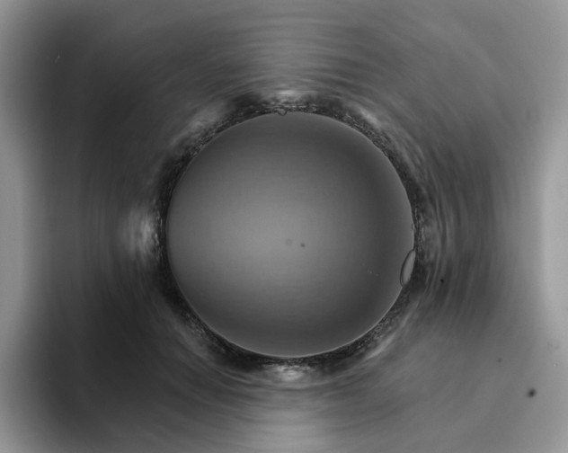 X0000093220654200710171400