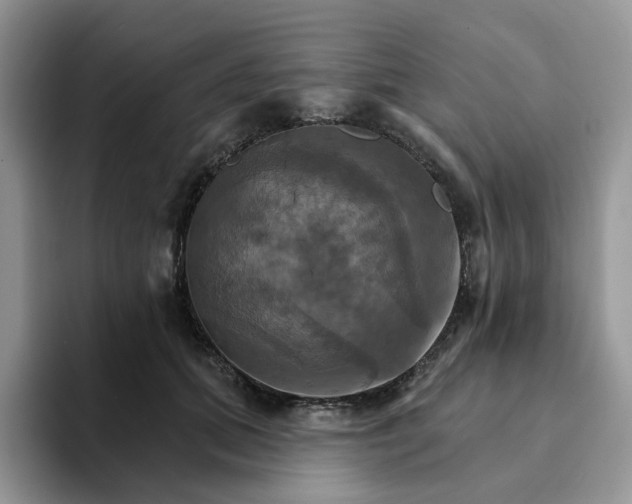 X0000093220655200710171400