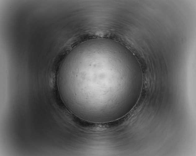 X0000093220656200710171400