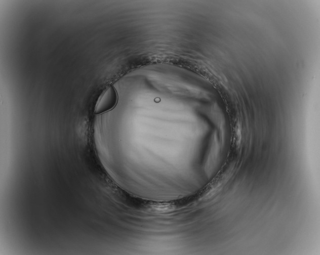 X0000093220659200710171400