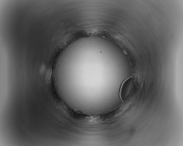 X0000093220660200710171400