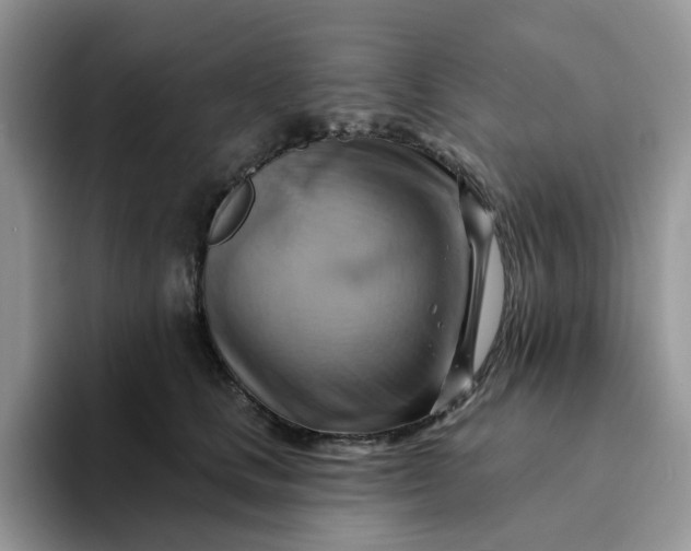 X0000093220661200710171401