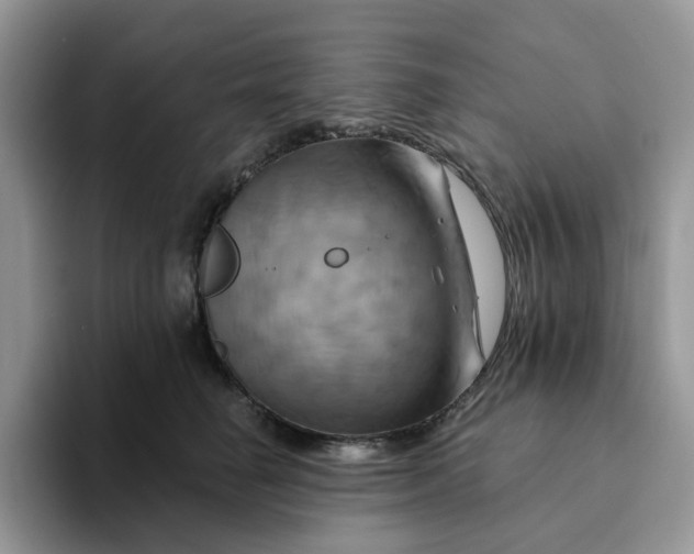 X0000093220662200710171401