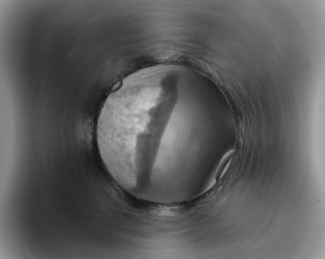 X0000093220664200710171401