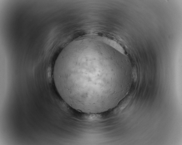 X0000093220670200710171401