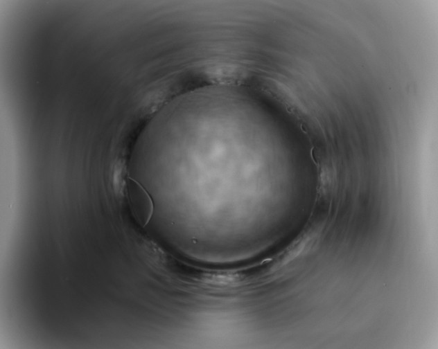 X0000093220671200710171401