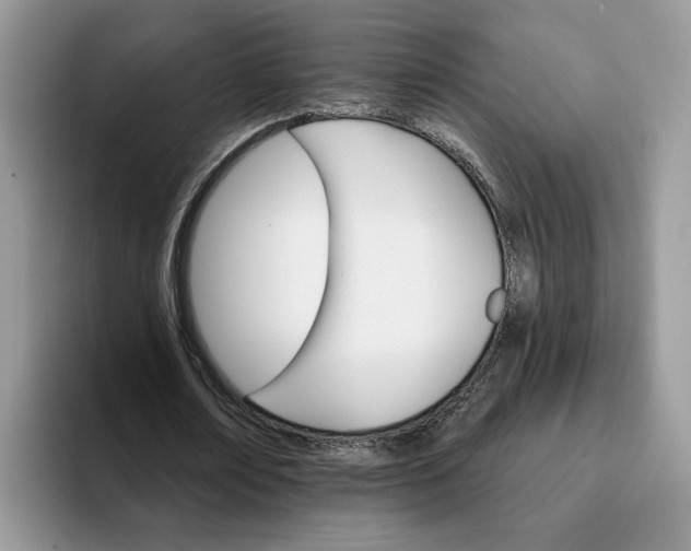 X0000093220674200710171400