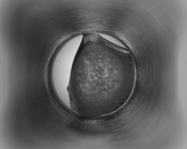 X0000093220679200710171400