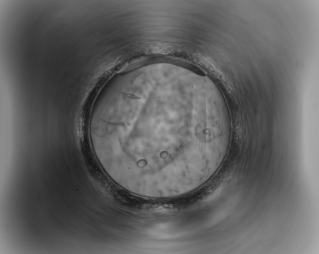 X0000093220683200710171400