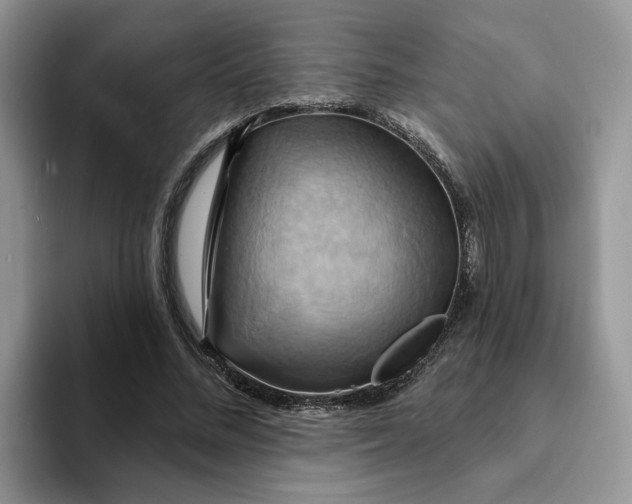 X0000093220684200710171400