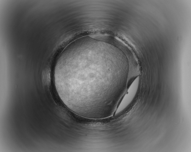 X0000093220685200710171400