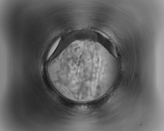 X0000093220687200710171400