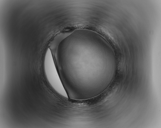 X0000093220689200710171400