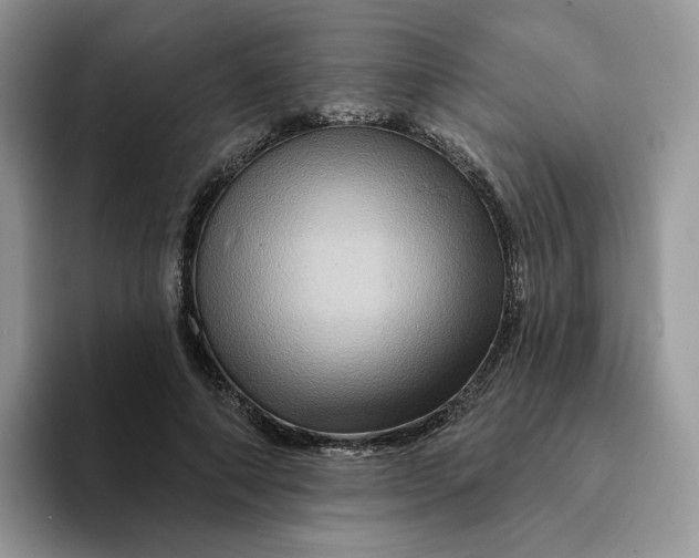 X0000093220690200710171400