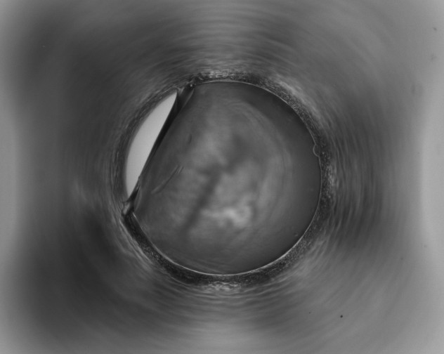 X0000093220691200710171400