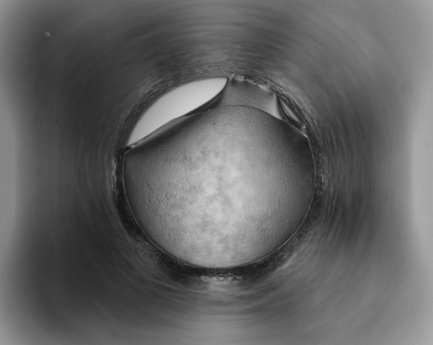 X0000093220693200710171400