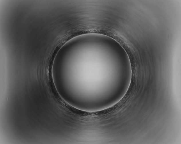 X0000093220696200710171400