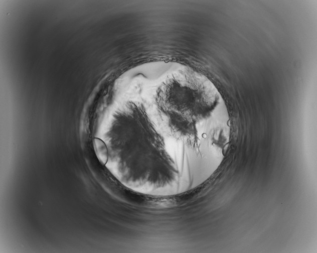 X0000093220711200710171359