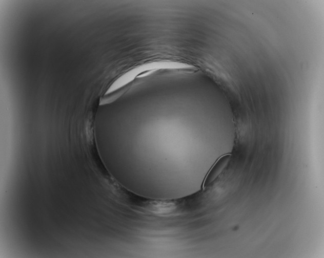 X0000093220719200710171359