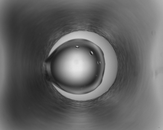 X0000093220720200710171359