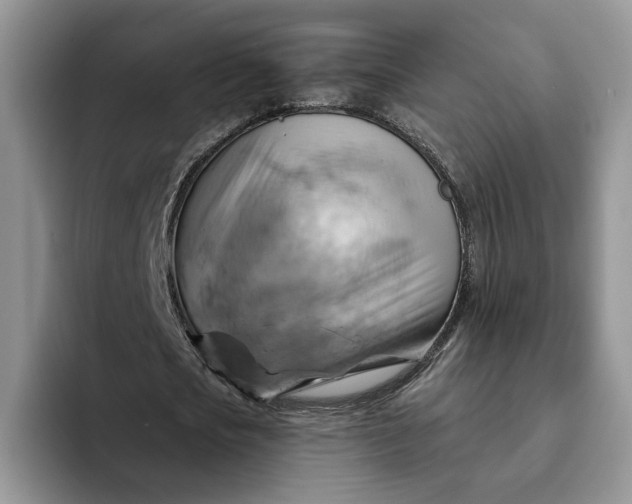 X0000093220721200710171359