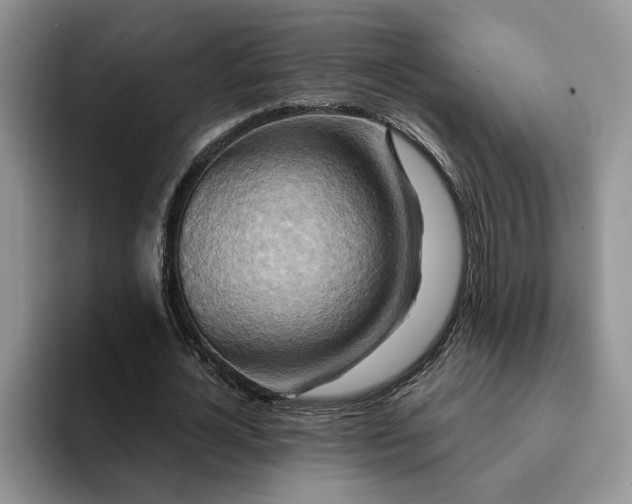 X0000093220724200710171359