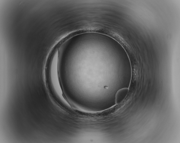 X0000093220726200710171359