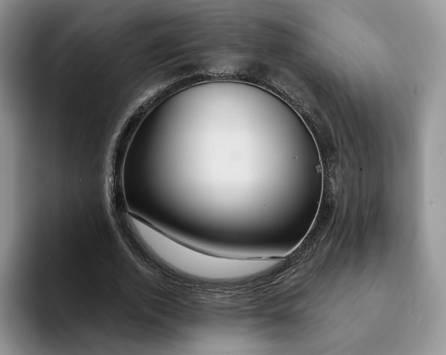 X0000093220728200710171359