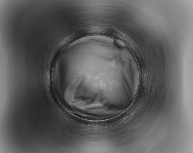 X0000093220729200710171359