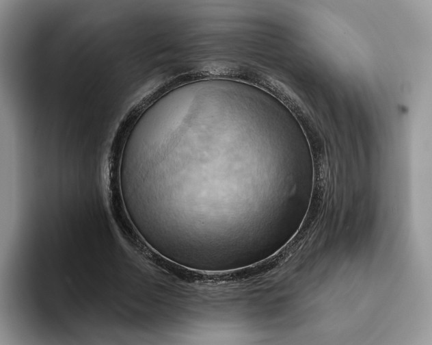 X0000093220730200710171359